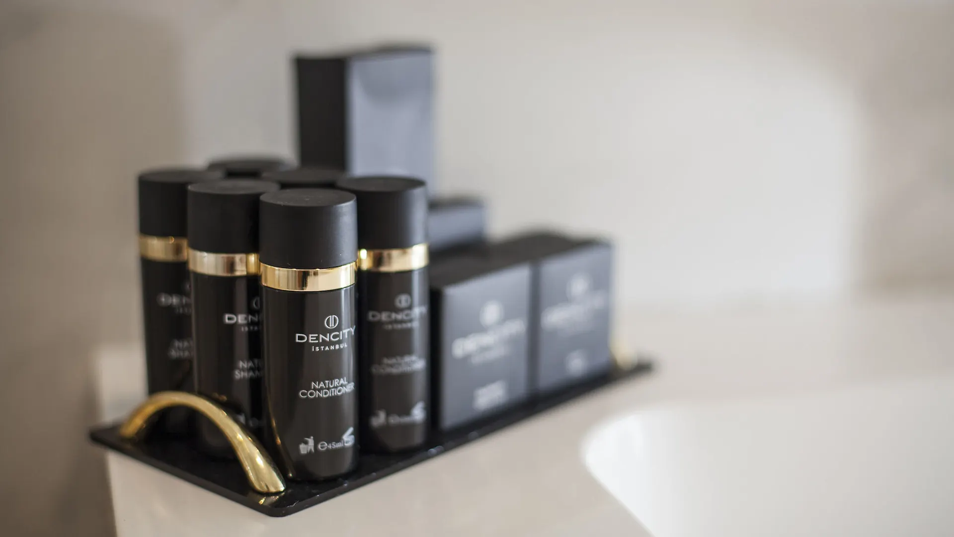Dencity Hotels&Spa Istanboel 4*,
